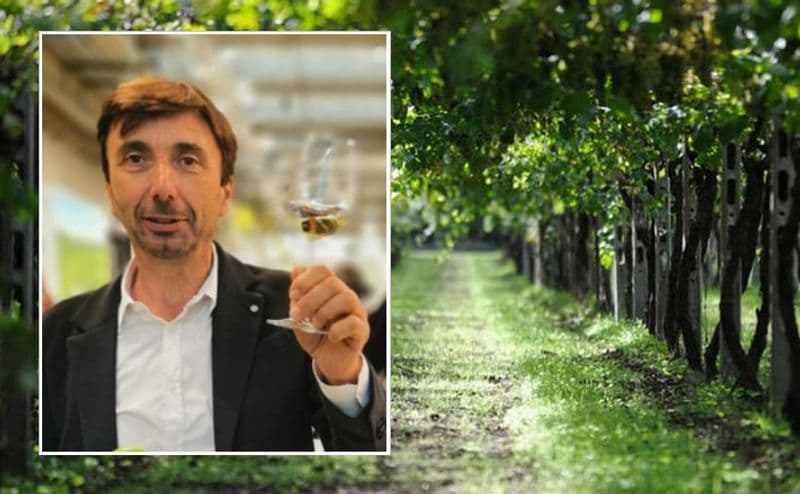 CALUSO - Bartolomeo Merlo nuovo presidente del Consorzio per la tutela e valorizzazione dei vini canavesani