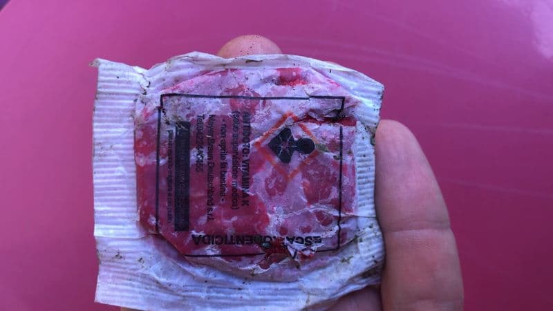 BANCHETTE - Veleno per topi vicino al campo sportivo: cani e gatti a rischio