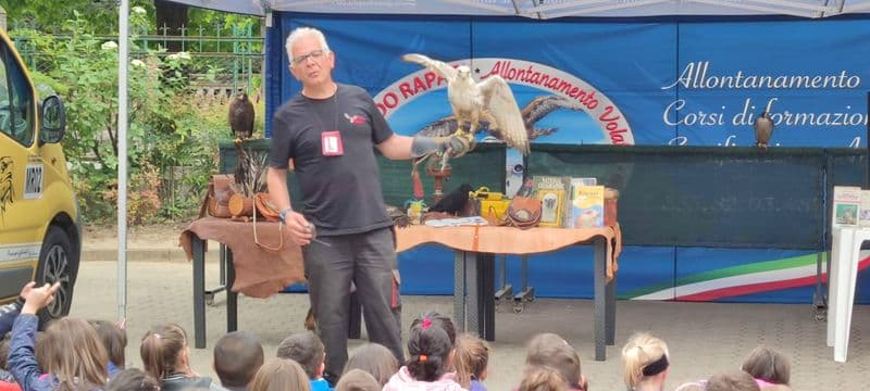 AGLIE' - I rapaci contro i piccioni molesti: iniziato il progetto «wildlife strike» - FOTO e VIDEO