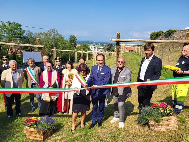 CALUSO - 110 piante di vite a due passi dal centro: inaugurata la prima «vigna urbana» dell'Erbaluce - FOTO