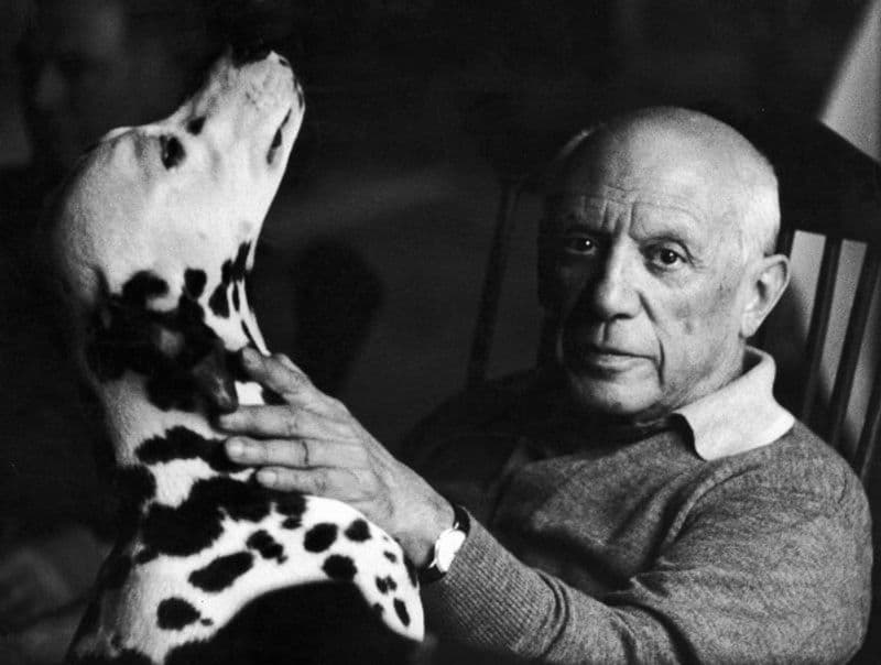 MOSTRE – Picasso a Torino, al via la prevendita