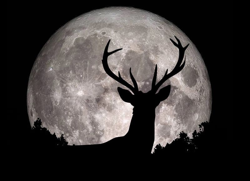 SCIENZA – È la notte della prima Superluna dell’anno