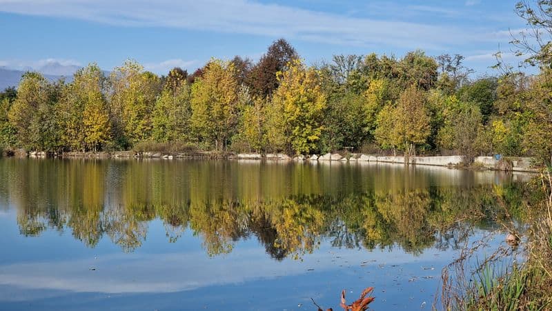 BORGARO TORINESE - Rinasce il lago di Villaretto e diventa un'oasi naturalistica - FOTO