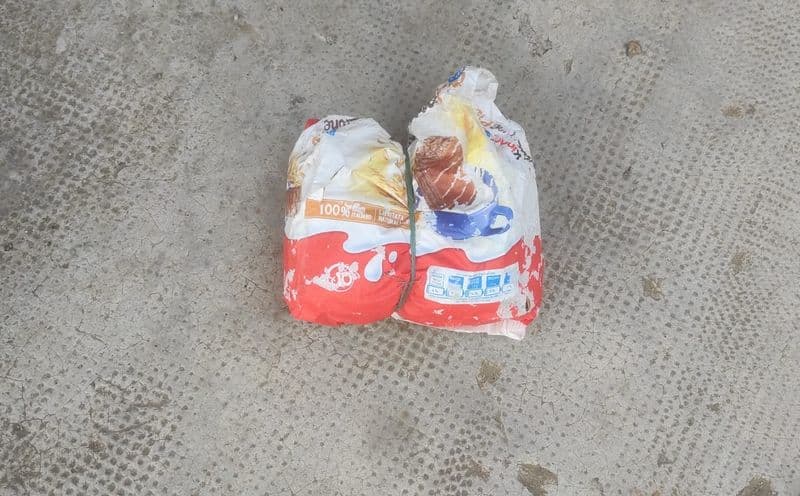 CHIAVERANO - Gettano sacchetti di rifiuti nel cortile del sindaco: è caccia ai maiali - FOTO