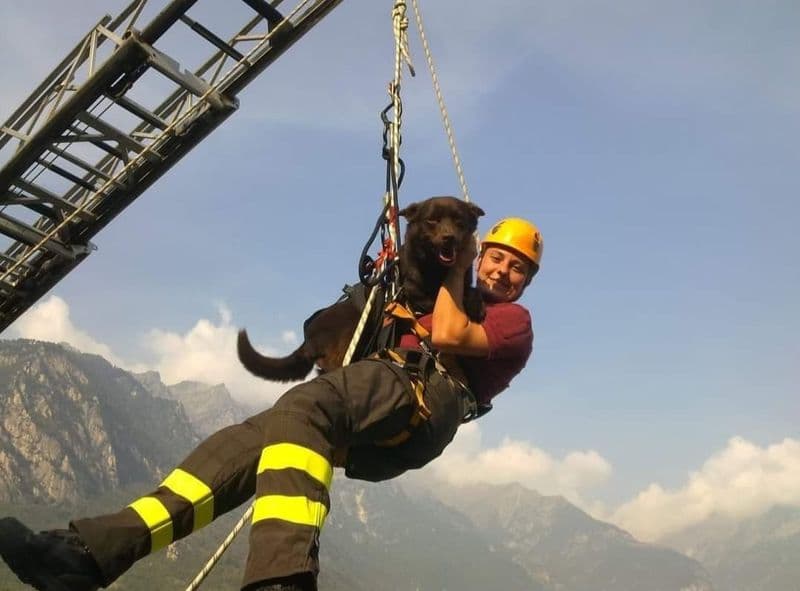 VOLPIANO - Addio al cane eroe Artù impegnato nei soccorsi in Emilia Romagna, Amatrice e Rigopiano