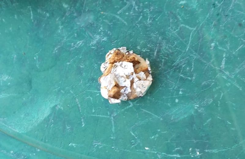 BARBANIA - Bocconi avvelenati contro cani e gatti: allarme in zona Vignali