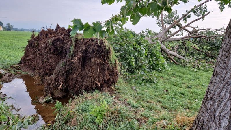 CANAVESE - Nubifragio nella notte, distrutti anche i raccolti - FOTO
