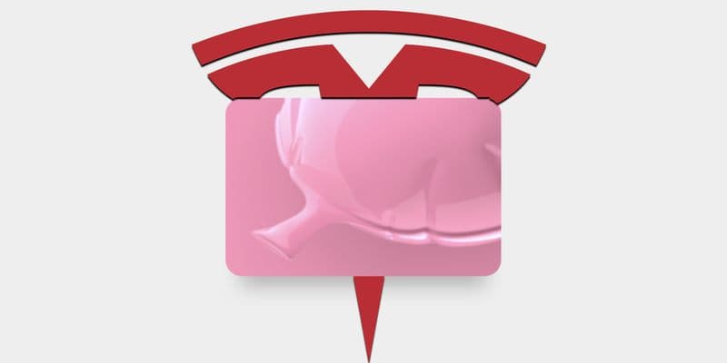 CURIOSITA’ - Le puzzette della Tesla