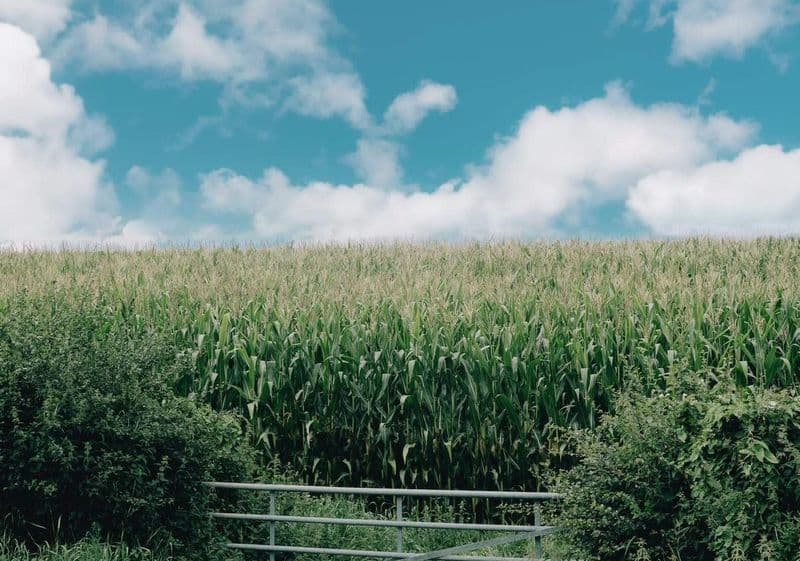 L'estate sta finendo