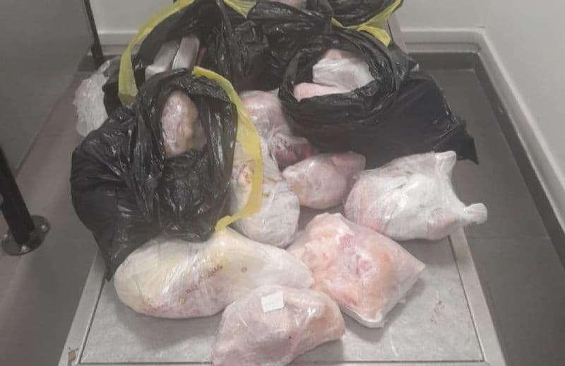 CASELLE - 64 chili di carne nella valigia: passeggero in arrivo dall'Egitto fermato in aeroporto - FOTO