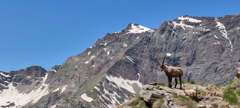 GRAN PARADISO - Il Parco celebra i suoi primi 100 anni alla Reggia di Venaria