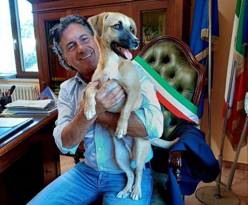 ROCCA CANAVESE - Cucciolo di cane smarrito, sindaco e dipendenti ritrovano la sua famiglia