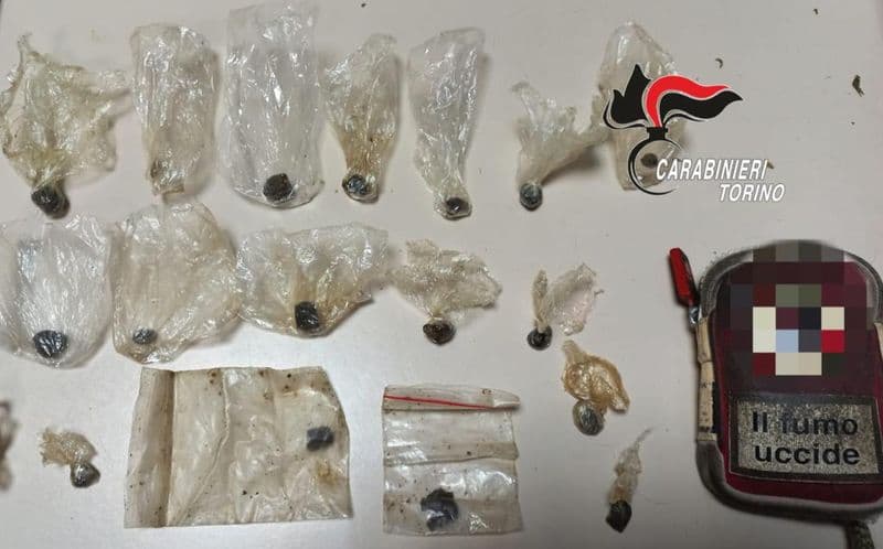 CHIAVERANO - Operai coltivavano marijuana nel giardino di casa, un arresto e una denuncia