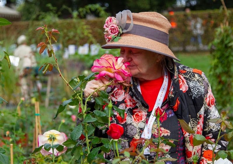 EVENTI - A Masino, per la tradizionale «Tre giorni per il giardino»