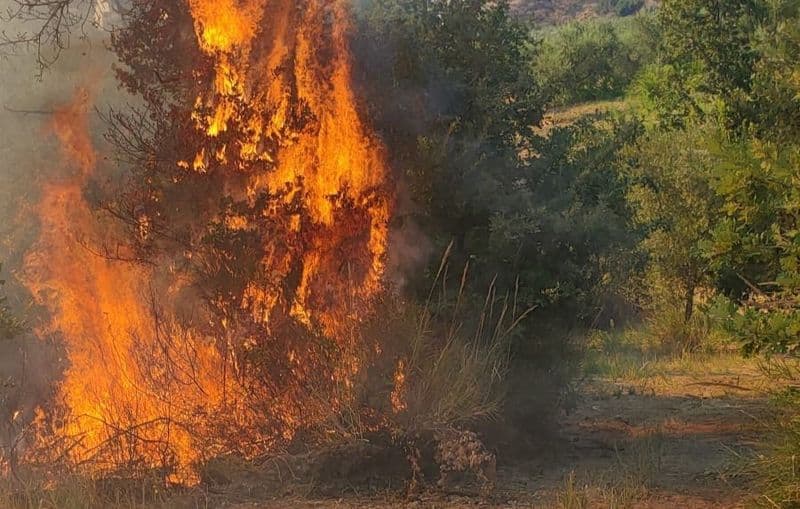 QUINCINETTO - Dà fuoco alle sterpaglie ma perde il controllo delle fiamme: provvidenziale intervento dei vigili del fuoco