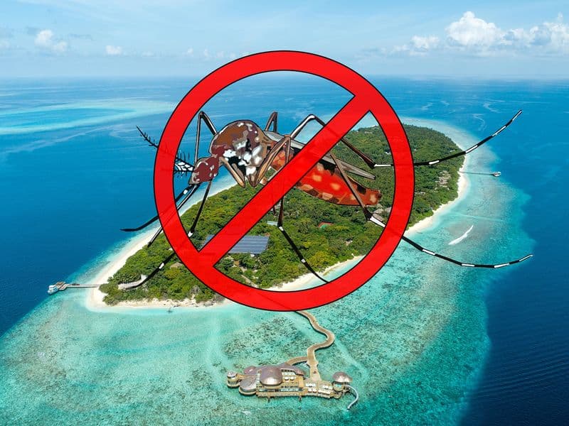 TECH – Alle Maldive il primo resort “mosquito free”