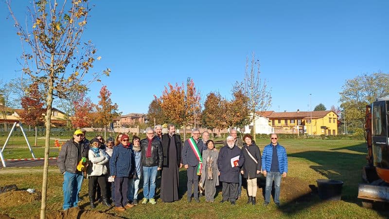 CHIVASSO - Verde pubblico, quasi mille nuove piante entro l'anno a Chivasso - FOTO