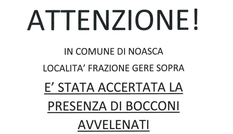 NOASCA - Ritrovati bocconi avvelenati: «Tenete sotto controllo i bambini ed al guinzaglio cani e altri animali domestici»