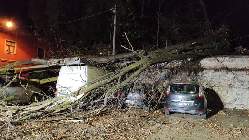 CANAVESE - Tempesta di vento, danni a Favria, Ciriè, Ivrea e in diversi Comuni: ore di lavoro per i vigili del fuoco - FOTO
