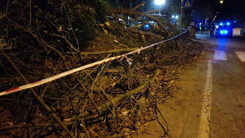 FAVRIA - Danni vento, diverse zone del paese senza corrente elettrica dalle quattro del mattino