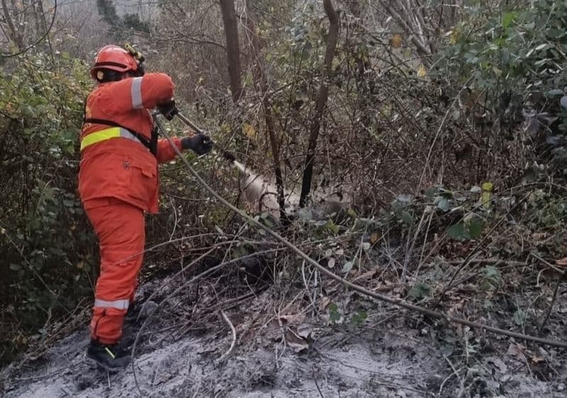 BORGOFRANCO D'IVREA - Scaricano della cenere incandescente e rischiano di provocare un incendio nei boschi - FOTO