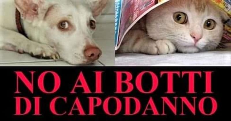 CANDIA - «No botti di capodanno»: appello del sindaco al buon senso