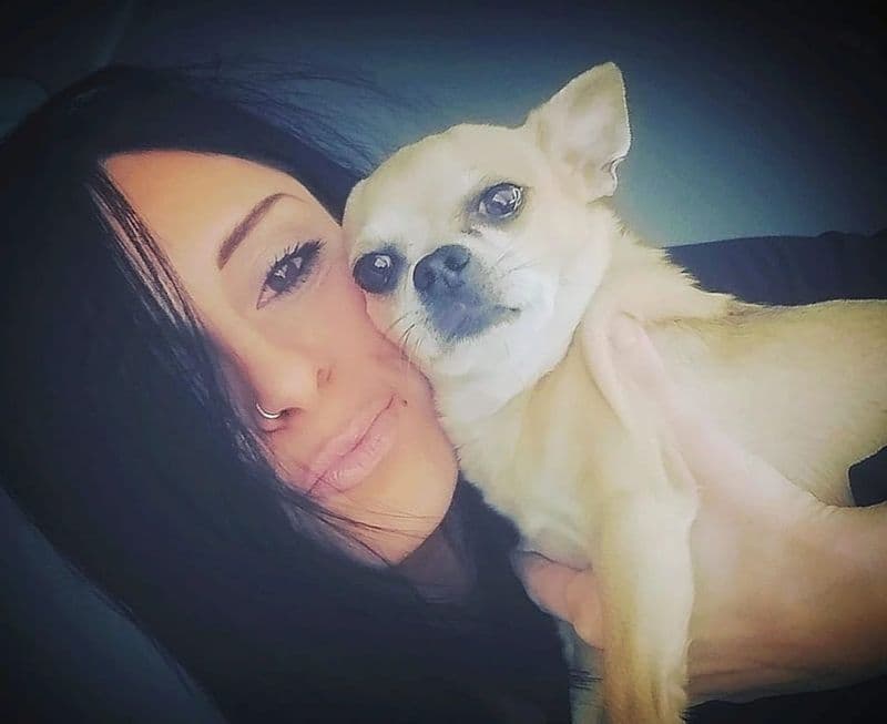 SAN FRANCESCO AL CAMPO - Una clinica a 4 zampe sempre aperta per le emergenze dei nostri animali: il sogno di Eleonora