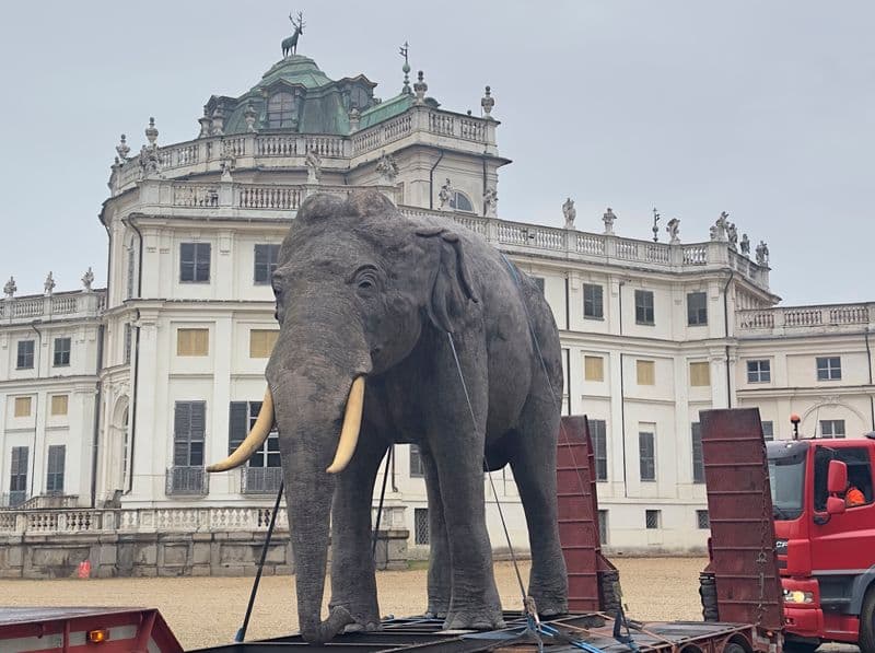 TORINO - Fritz annuncia la riapertura del Museo Regionale di Scienze Naturali