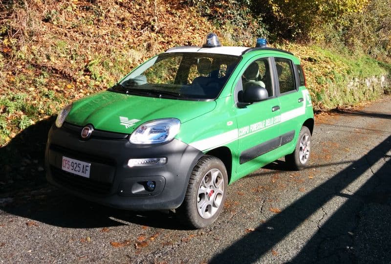 ORIO CANAVESE - Strage di alberi nel parco dell'ex preventorio: indagano i carabinieri forestali