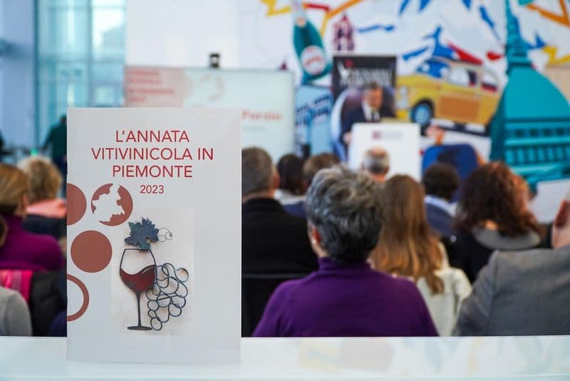 ECONOMIA - L’annata 2023 dei vini piemontesi