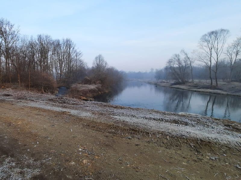 VOLPIANO - Iniziati i lavori per la pulizia e sistemazione delle sponde del Rio Malone