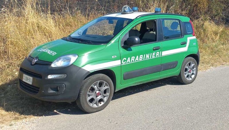 ORIO CANAVESE - Sequestrati gli alberi tagliati nel parco dell’ex preventorio: aperto un fascicolo per reato ambientale