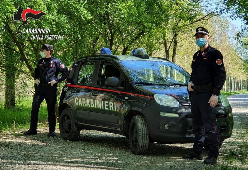 CANAVESE - Carabinieri forestali, il bilancio dell'attività nel 2023