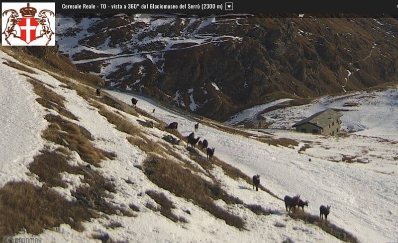 CERESOLE REALE - Anche al Serrù è rimasta pochissima neve