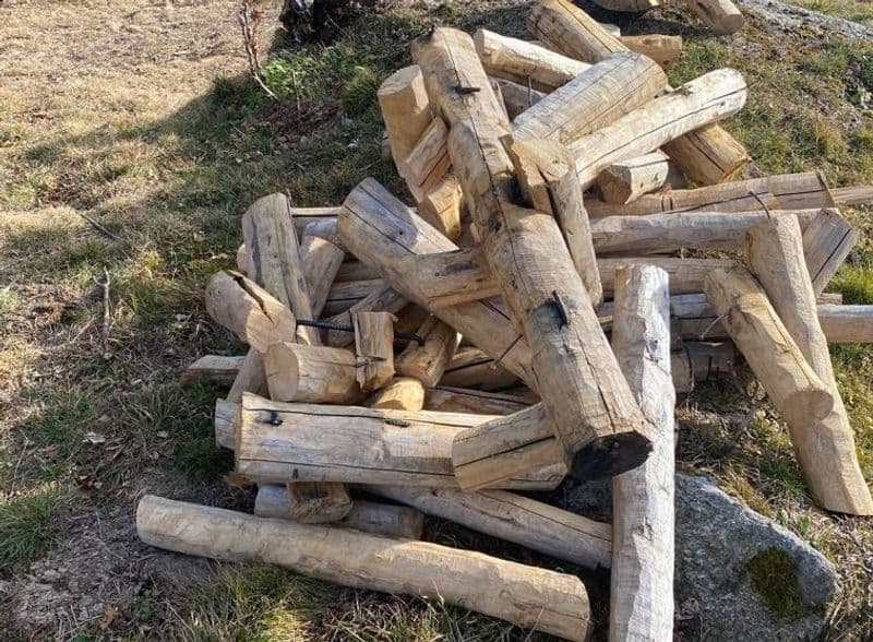 RIBORDONE - La mucca è stata fatta a pezzi a colpi di motosega: così il paese ha perso uno dei suoi simboli