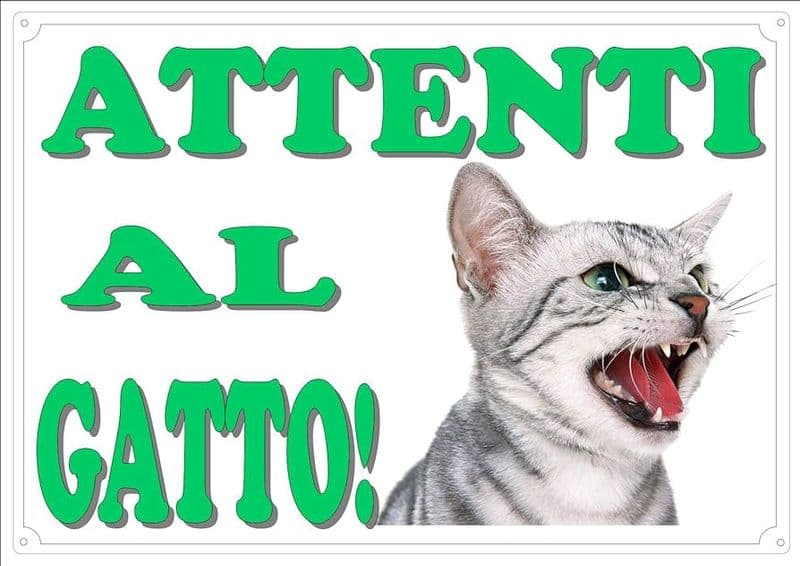 LESSOLO - Il gatto Gatsby sveglia i padroni durante un furto, ladri costretti alla fuga