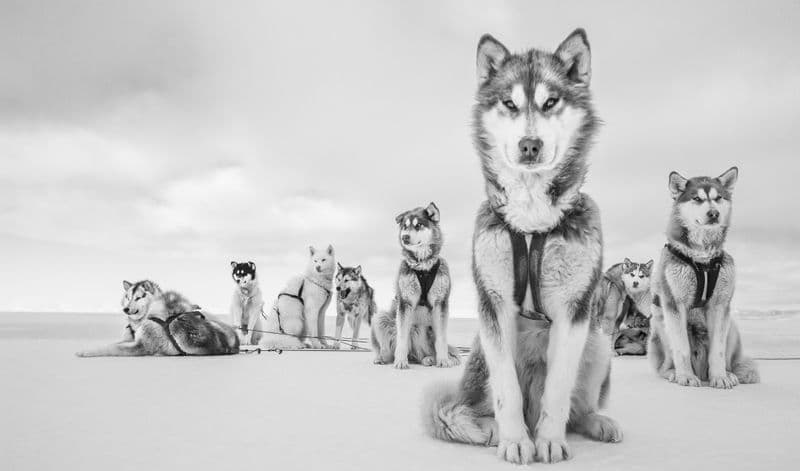 MOSTRE – La fragile bellezza della natura nelle foto di Cristina Mittermeier