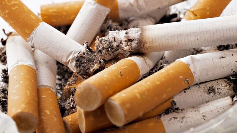 CANAVESE - Un weekend dedicato alla raccolta dei mozziconi delle sigarette