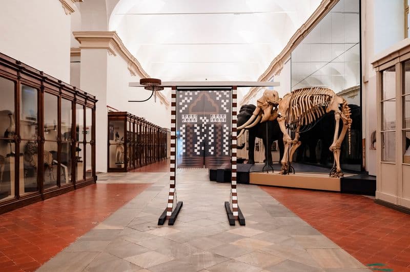 ARTE – Arco Elefante, omaggio al sacrificio del pachiderni nella storia