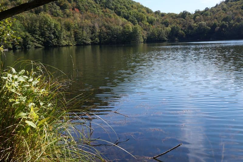 IVREA - Parco 5 laghi, Coldiretti: «Una forzatura per motivi elettorali»