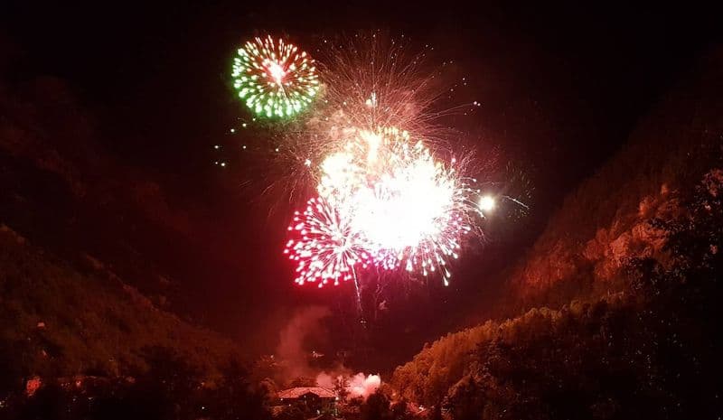 SAN CARLO CANAVESE - «Basta fuochi d'artificio alla festa patronale»