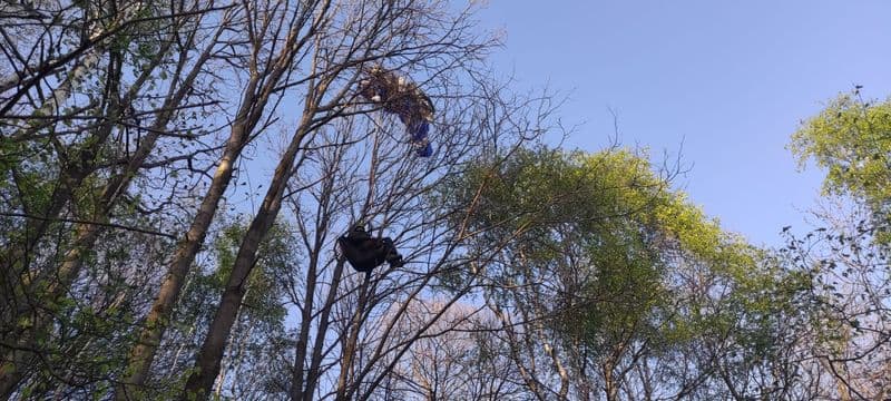 BROSSO - Cade parapendio sul monte Cavallaria, turista tedesco salvato su un albero dal soccorso alpino - FOTO e VIDEO