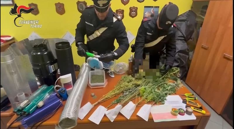 SAN BENIGNO CANAVESE - Una serra di marijuana in casa: denunciato 34enne «coltivatore diretto» - FOTO e VIDEO