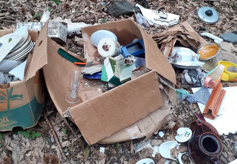 BORGIALLO - Un «mercatino delle pulci» rovesciato tra i boschi: è caccia al maiale - FOTO