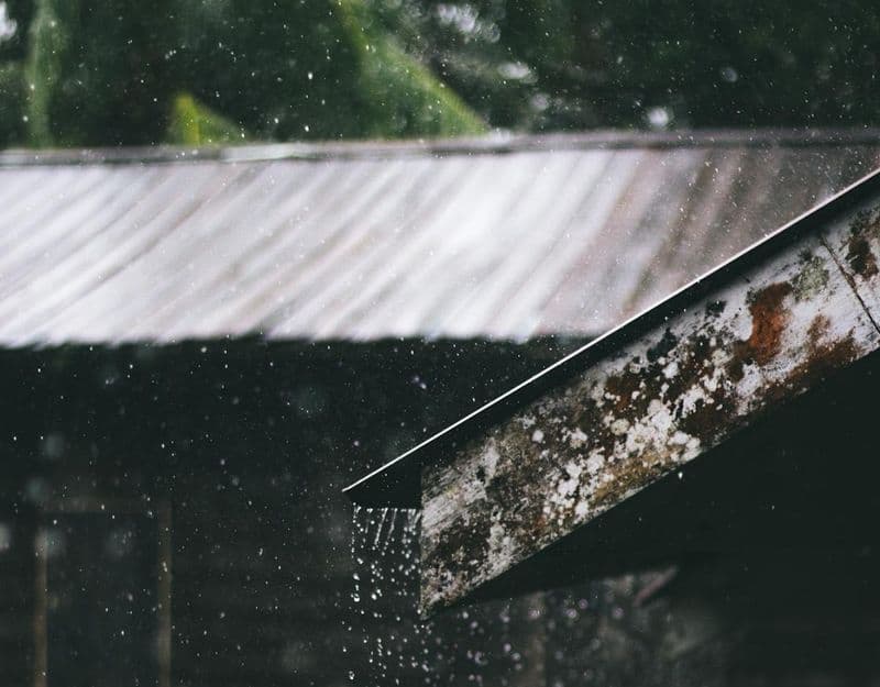 Cade la pioggia e tutto bagna