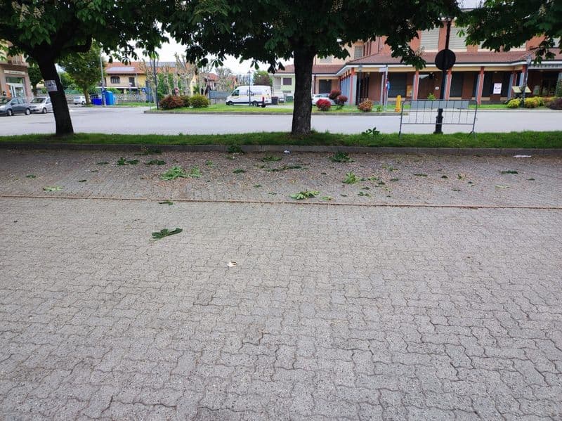 SAN GIUSTO CANAVESE - Lancio di pietre per recuperare il pallone finito sugli alberi: il sindaco riprende i ragazzi