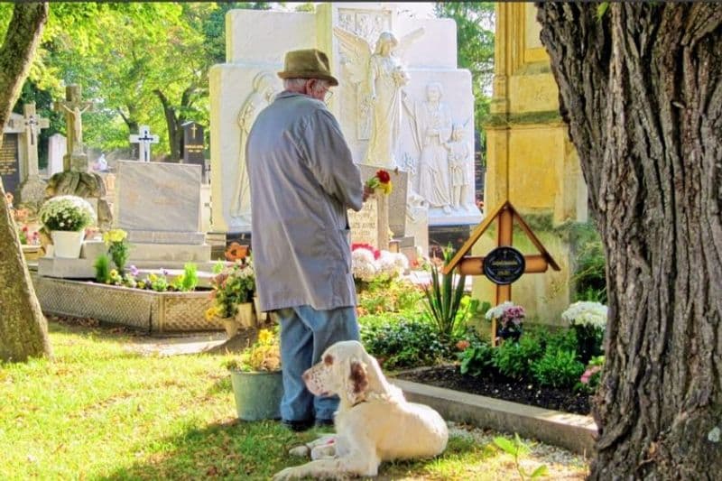 BORGARO - Vietato l'ingresso ai cani al cimitero: scoppia la polemica