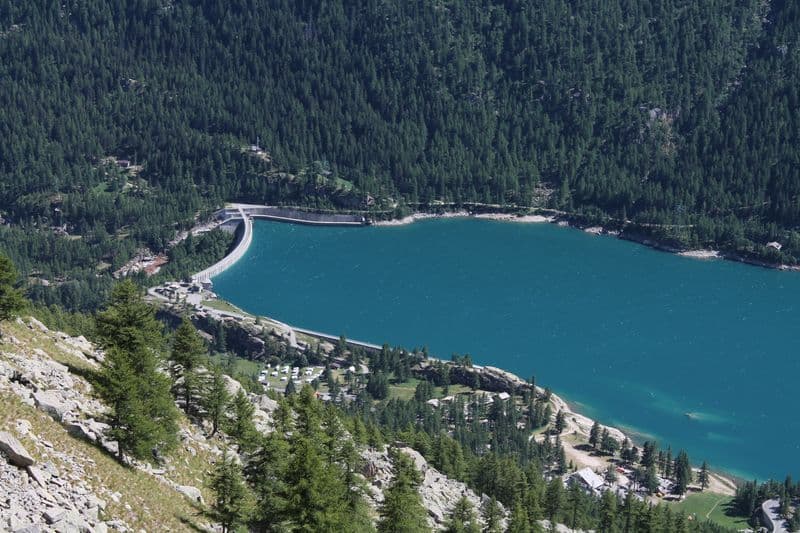 CERESOLE REALE - Migliaia di avannotti della trota marmorata tornano a ripopolare il lago