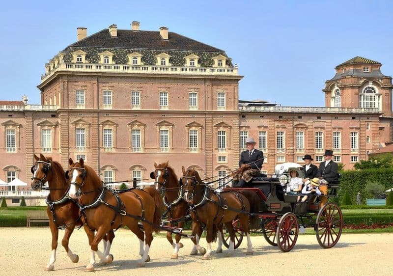 RIEVOCAZIONI – Alla Reggia di Venaria cavalli e carrozze d’altri tempi