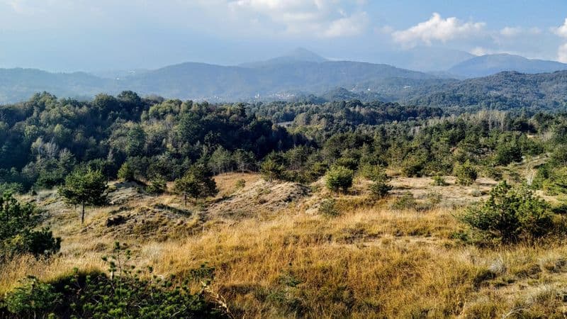 CASTELLAMONTE - Raccolta firme per ampliare la riserva dei Monti Pelati